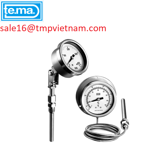 Đồng hồ đo nhiệt độ TM800 Temavasconi